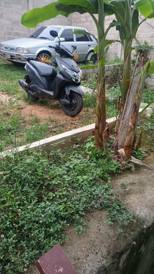 Sierra Tayrona Hostel เอลไซโน ภายนอก รูปภาพ
