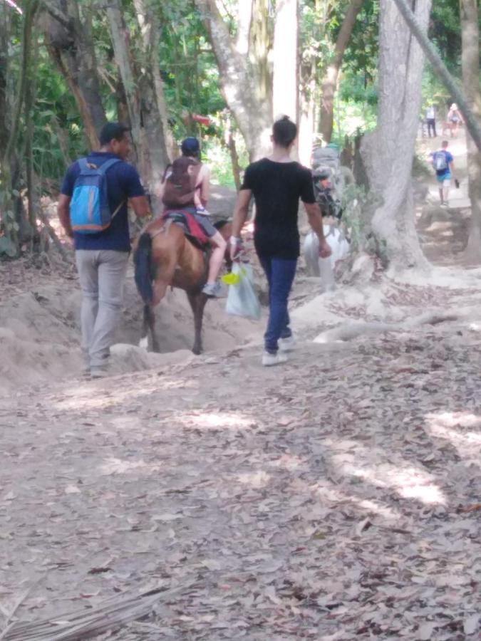 Sierra Tayrona Hostel เอลไซโน ภายนอก รูปภาพ