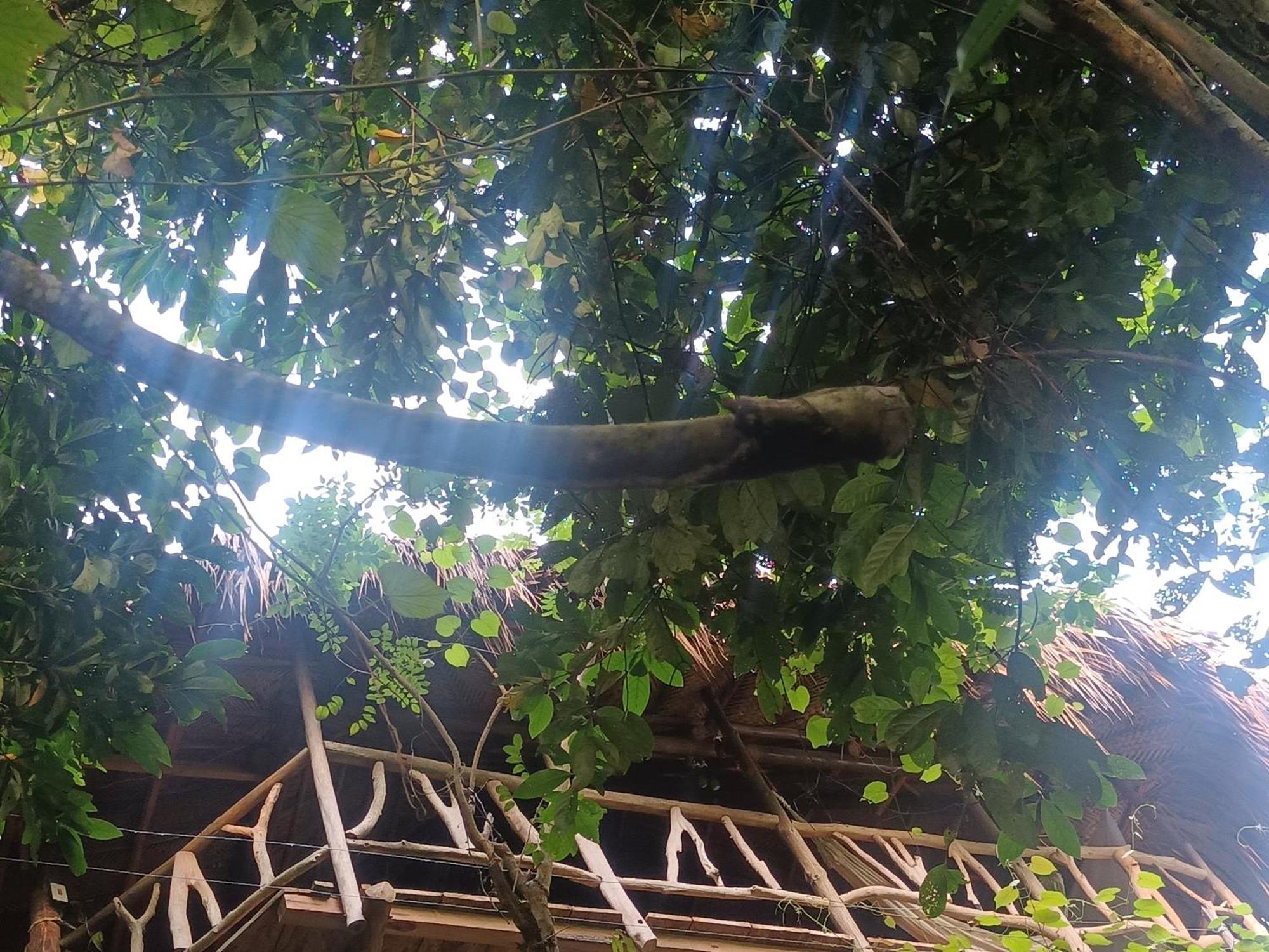 Sierra Tayrona Hostel เอลไซโน ภายนอก รูปภาพ