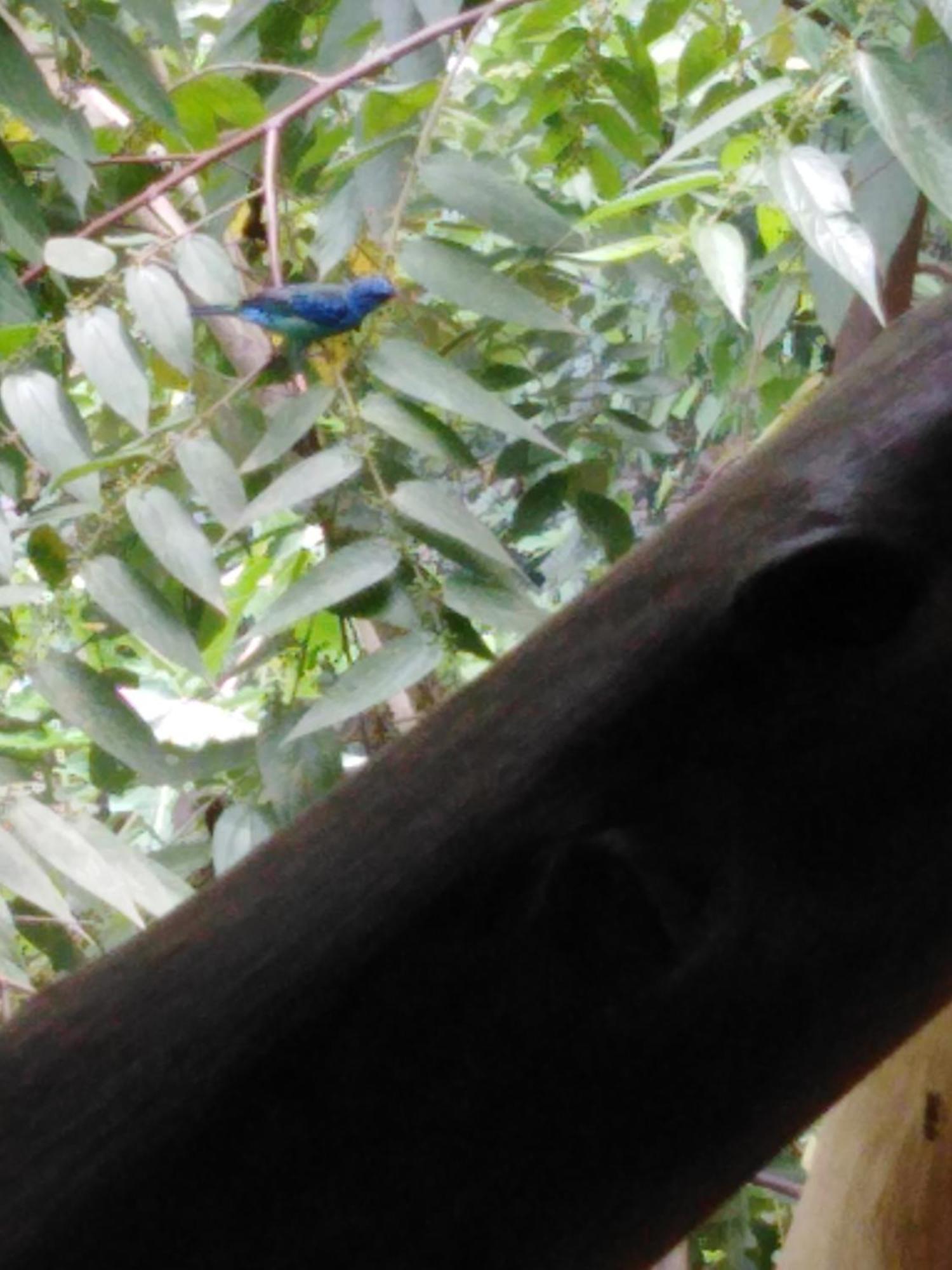 Sierra Tayrona Hostel เอลไซโน ภายนอก รูปภาพ