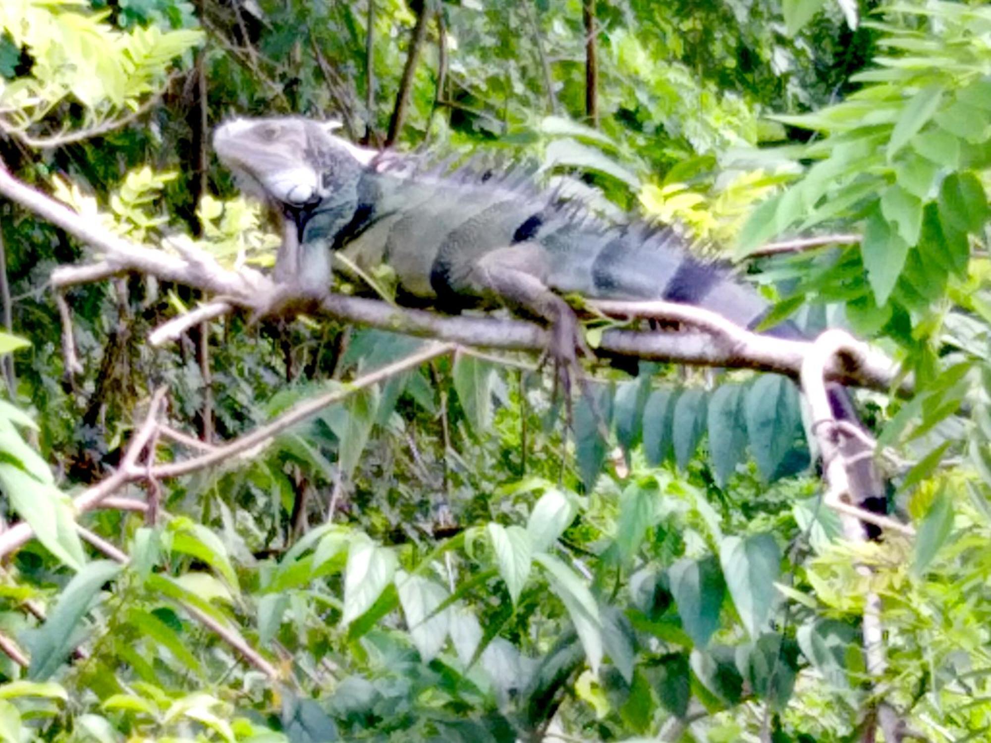 Sierra Tayrona Hostel เอลไซโน ภายนอก รูปภาพ