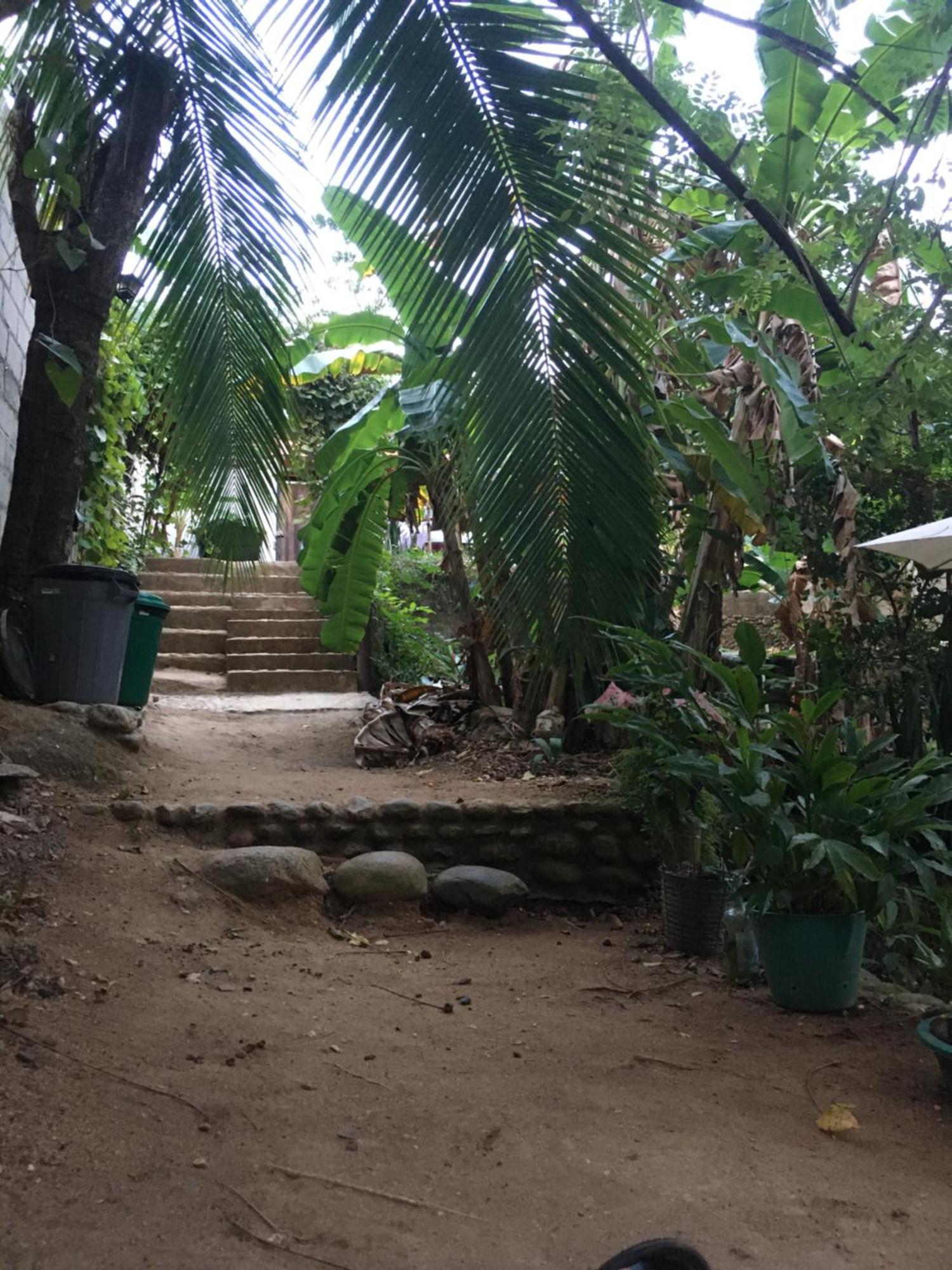 Sierra Tayrona Hostel เอลไซโน ภายนอก รูปภาพ